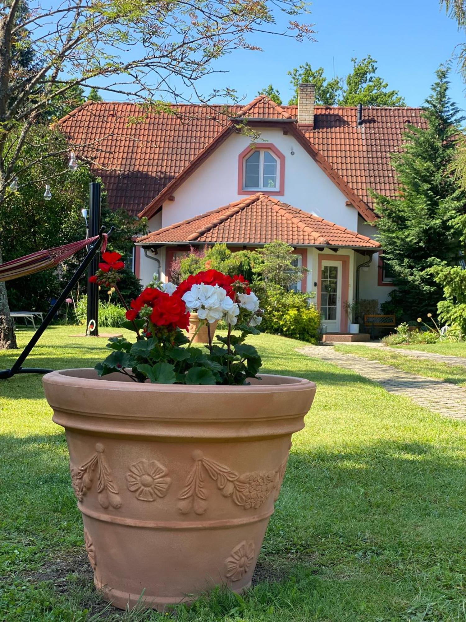 Vila Evio Trebon Luaran gambar