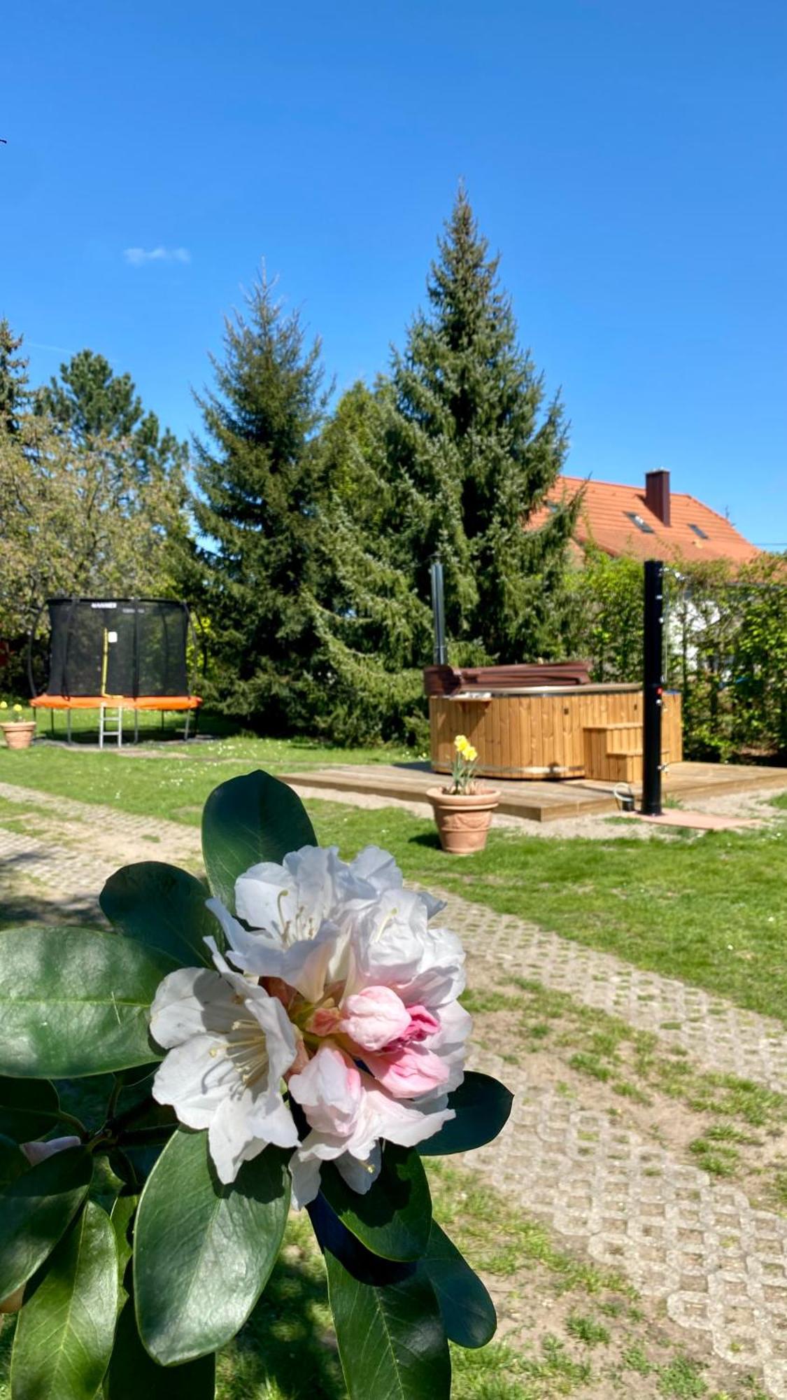 Vila Evio Trebon Luaran gambar